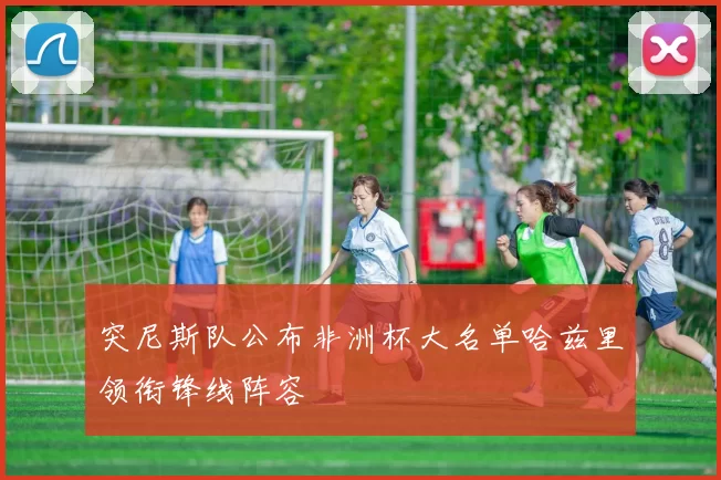 突尼斯队公布非洲杯大名单哈兹里领衔锋线阵容