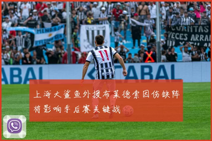 上海大鲨鱼外援布莱德索因伤缺阵将影响季后赛关键战