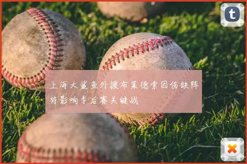 上海大鲨鱼外援布莱德索因伤缺阵将影响季后赛关键战